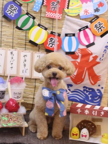 20240716ぽっきーくん